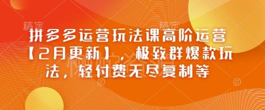 拼多多运营玩法课高阶运营【2月更新】,极致群爆款玩法,轻付费无尽复制等
