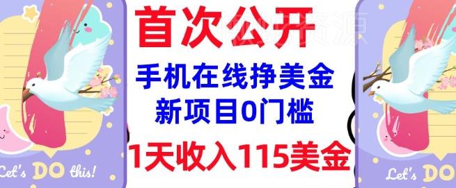 在线挣美金新项目,0门槛,1天收入115美刀,无脑操作,真正被动收入