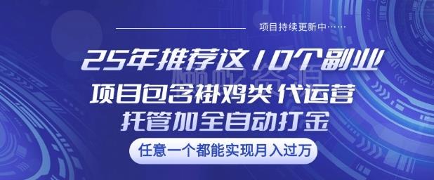 25年推荐这10个副业项目包含褂鸡类、代运营托管类、全自动打金类【揭秘】