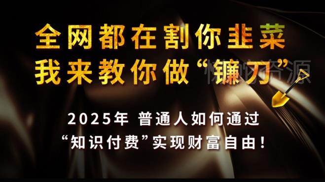 全网都在割你韭菜,我来教你做镰刀,2025普通人如何通过知识付费,实现财F自由【揭秘】