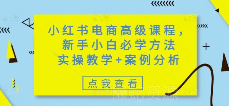 小红书电商高级课程,新手小白必学方法,实操教学+案例分析