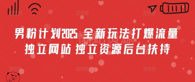 男粉计划2025 全新玩法打爆流量 独立网站 独立资源后台扶持【揭秘】