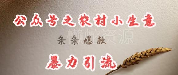 deepseek写农村小项目,条条爆款,暴力引流