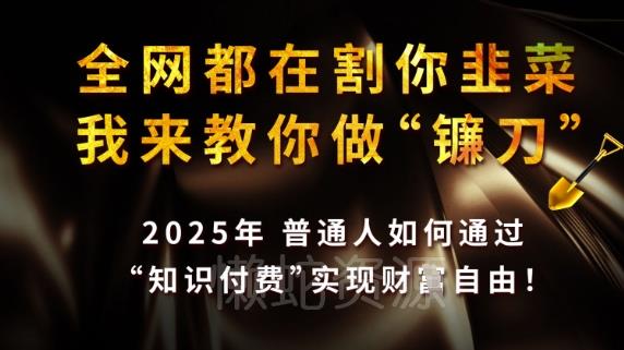 全网都在割你韭菜,我来教你做镰刀,2025普通人如何通过知识付费,实现财F自由【揭秘】