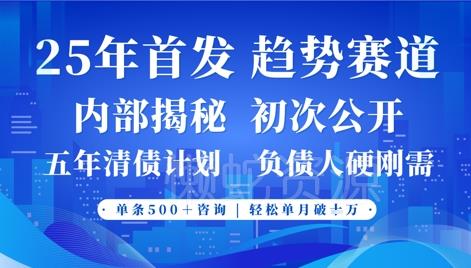 2025年首次公开,真正的事业型赛道,客咨不断,单月轻松破W