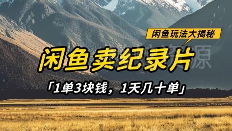 闲鱼卖纪录片1单3块钱,1天几十单,项目稳定有潜力