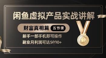 精品！闲鱼虚拟产品实战讲解，新手一部手机即可操作，副业月利润可达5k+