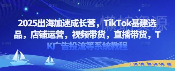 2025出海加速成长营,TikTok基建选品,店铺运营,视频带货,直播带货,TK广告投流等系统教程