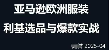 跨境电商选品案例24-25年,聚焦跨境电商选品策略与运营优化,助力卖家挖掘蓝海市场