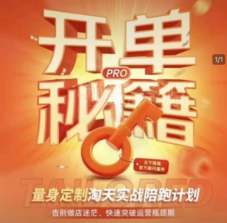 淘宝开单秘籍PRO,量身定制淘天实战陪跑计划,告别做店迷茫、快速突破运营瓶颈期(更新)