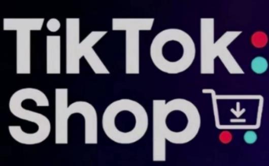 TikTokShop跨境电商0-1实战,手把手教你低成本启动海外市场(更新)