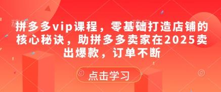拼多多vip课程,零基础打造店铺的核心秘诀,助拼多多卖家在2025卖出爆款,订单不断