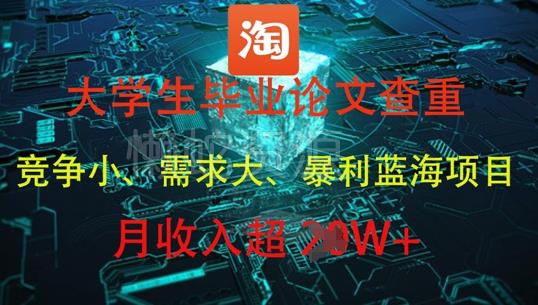 大学生毕业论文查重，暴利蓝海项目，月收入过1W+