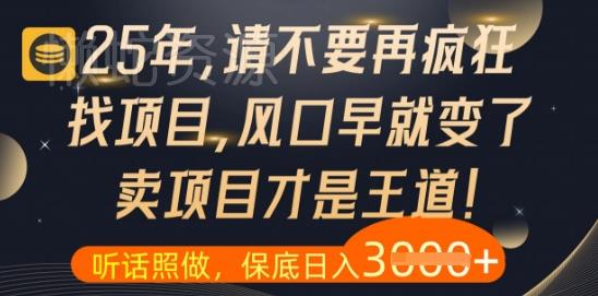 什么？25年你还在疯狂找项目做，醒醒吧，看完这些你全都懂了【揭秘】