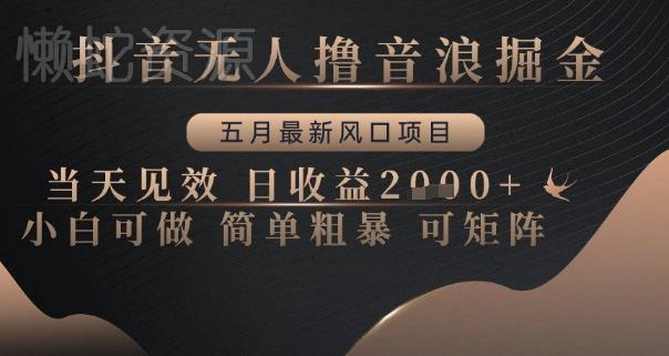 抖音无人撸音浪掘金，五月最新风口项目，当天见效，日收益多张，小白可做简单粗暴可矩阵【揭秘】