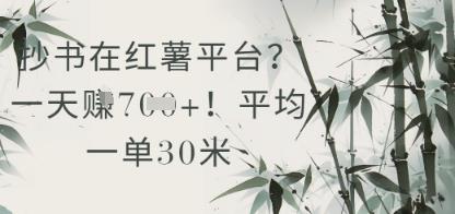 抄书在小红薯平台?平均一单30米,一天收益几张!