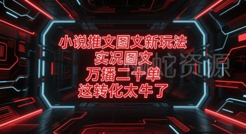 小说推文图文新玩法,实况图文,万播二十单,这转化太牛了!