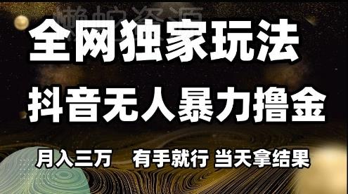 全网独家玩法抖音无人暴力撸金,月入3W,有手就行,当天拿结果【揭秘】