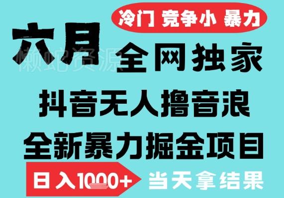2025年6月高爆抖音无人直播最新撸音浪掘金项目,无脑日入1k+,低门槛小白可做,可矩阵放大【揭秘】