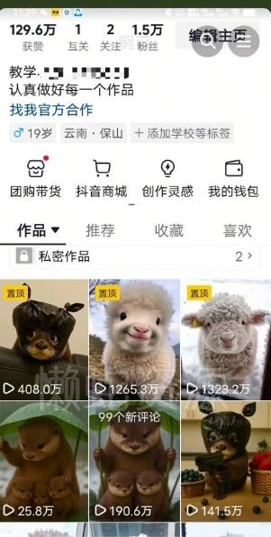 抖音65W博主AI萌宠课程,新赛道流量大,原创+二创,全套课程+提示词