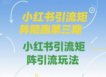 小红书引流矩阵陪跑第三期,小红书引流矩阵引流玩法