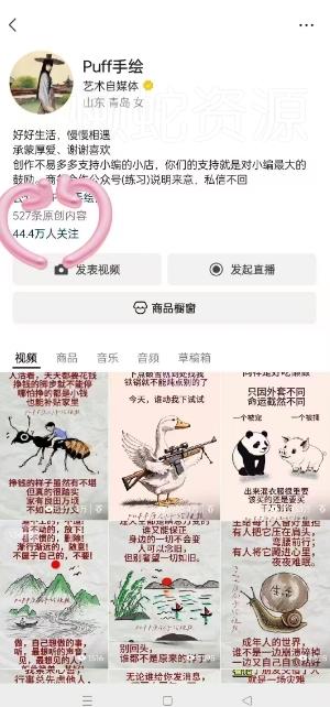 Puff手绘视频号分成项目,三天过分成计划,简单易上手,适合新手