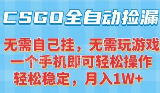 CSGO自动捡漏项目,最新独家玩法,一个手机可操作,新手小白轻松月入1W+,操作简单易上手【揭秘】