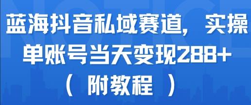 蓝海抖音私域赛道,实操单账号当天变现288+(附教程)