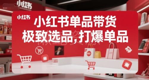 小红书单品带货,极致选品,打爆单品(更新)