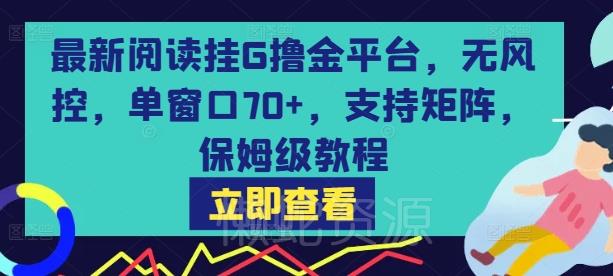 最新阅读挂G撸金平台,无风控,单窗口70+,支持矩阵,保姆级教程【揭秘】