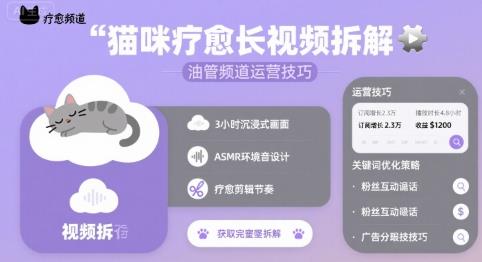 猫咪疗愈长视频拆解 &油管频道运营技巧