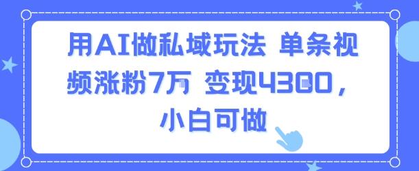 用AI做私域玩法,单条视频涨粉7W变现4.3k,小白可做