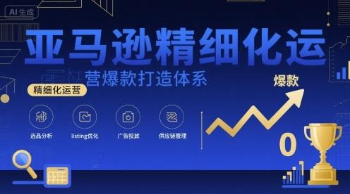亚马逊精细化运营爆款打造体系,视频课+全套资料文档