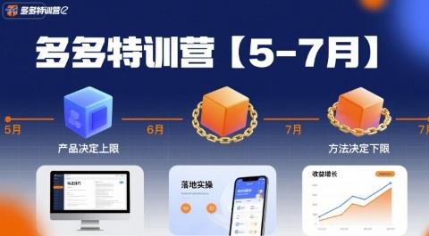 多多特训营,产品决定上限,方法决定下限,各种玩法技巧落地实操(更新)