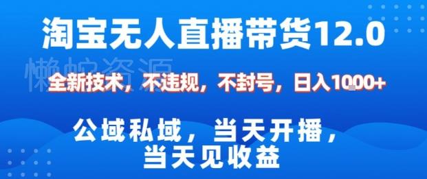 淘宝无人直播12.0,公域私域技术,不封号,不违规布局双十一流量风口,日入1k(独家技术)【揭秘】