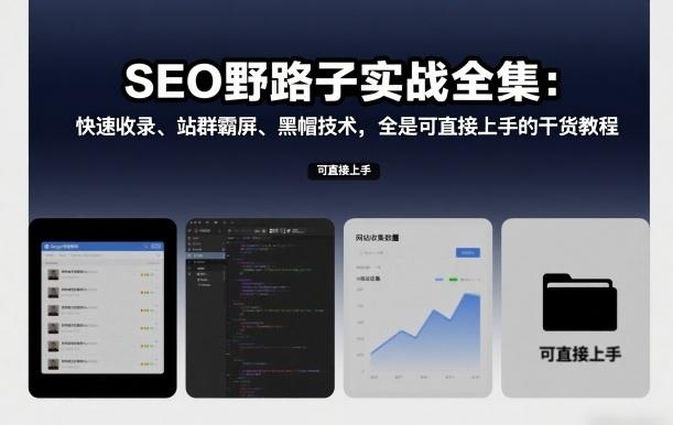 SEO野路子实战全集:快速收录、站群霸屏、黑帽技术,全是可直接上手的干货教程