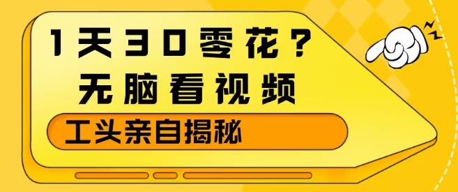 1天30零花?无脑看视频,大佬亲自揭秘