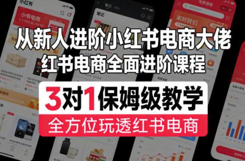 从新人进阶小红书电商大佬,红书电商全面进阶课程,3对1保姆级教学,全方位玩透红书电商