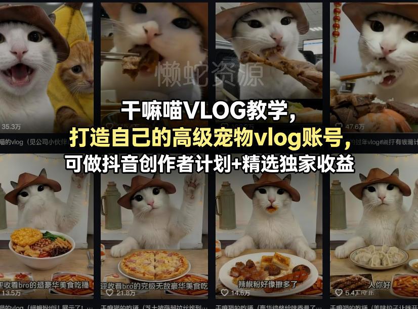 干嘛喵VLOG教学,打造自己的高级宠物vlog账号,可做抖音创作者计划+精选独家收益