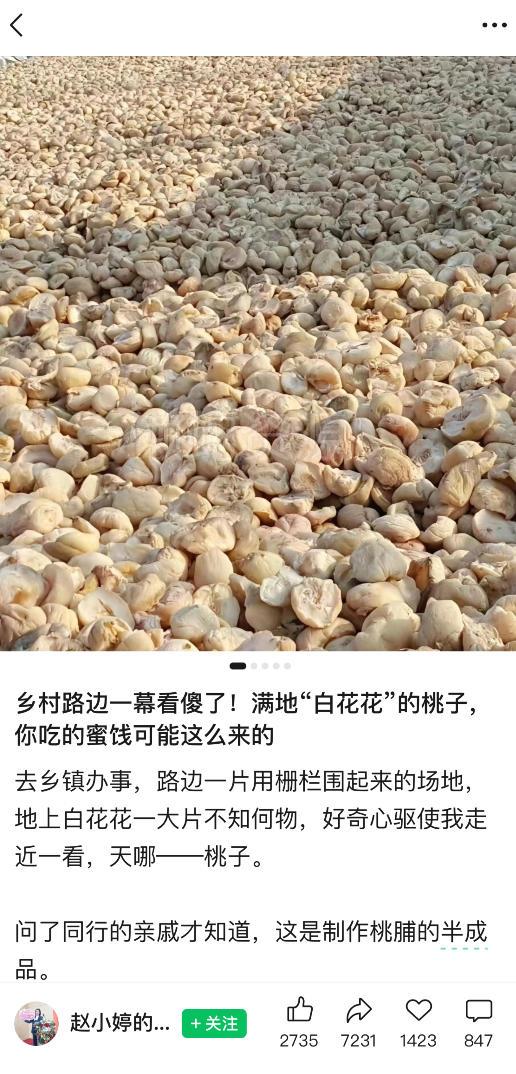 公众号小绿书贴图项目,赚收益实操玩法,听话照听话照少走90%弯路丨副业可做