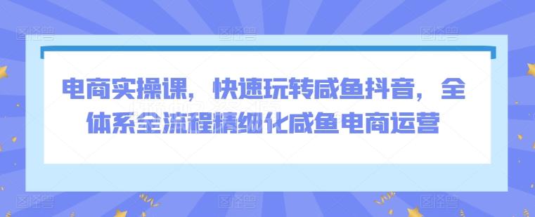 电商实操课,快速玩转咸鱼抖音,全体系全流程精细化咸鱼电商运营