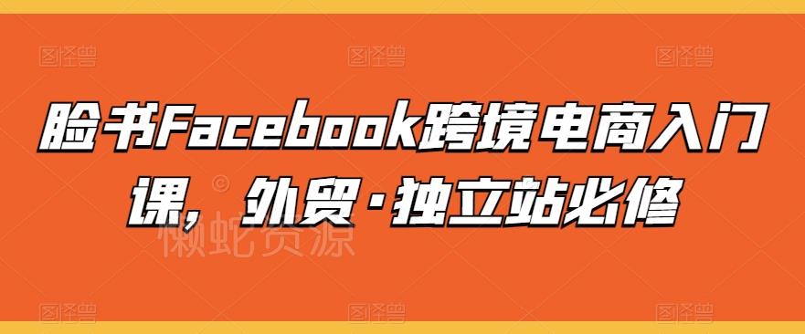 脸书Facebook跨境电商入门课,外贸·独立站必修