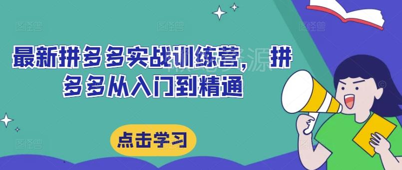 最新拼多多实战训练营, 拼多多从入门到精通