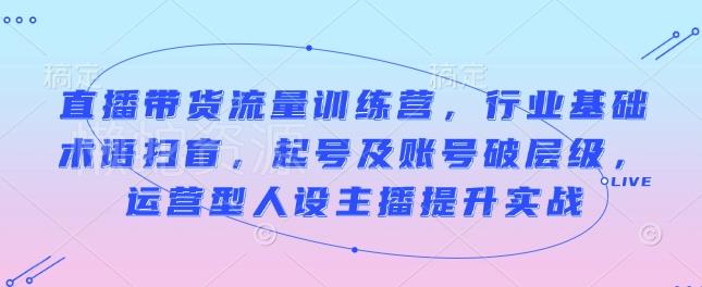 直播带货流量训练营,行业基础术语扫盲,起号及账号破层级,运营型人设主播提升实战