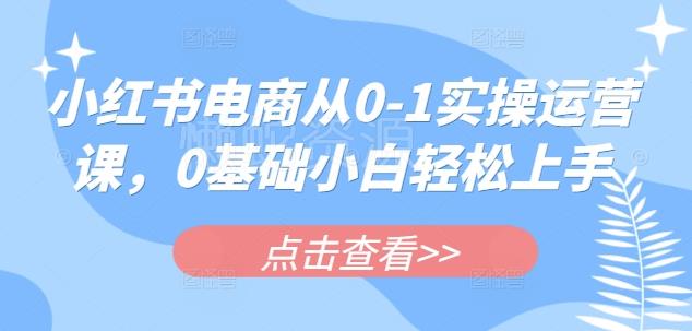 小红书电商从0-1实操运营课,0基础小白轻松上手