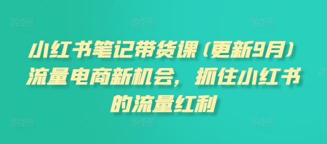 小红书笔记带货课,流量电商新机会,抓住小红书的流量红利(更新26年2月)