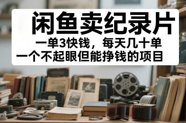 闲鱼卖纪录片,一单3快钱,每天几十单,一个不起眼但能挣钱的项目【揭秘】