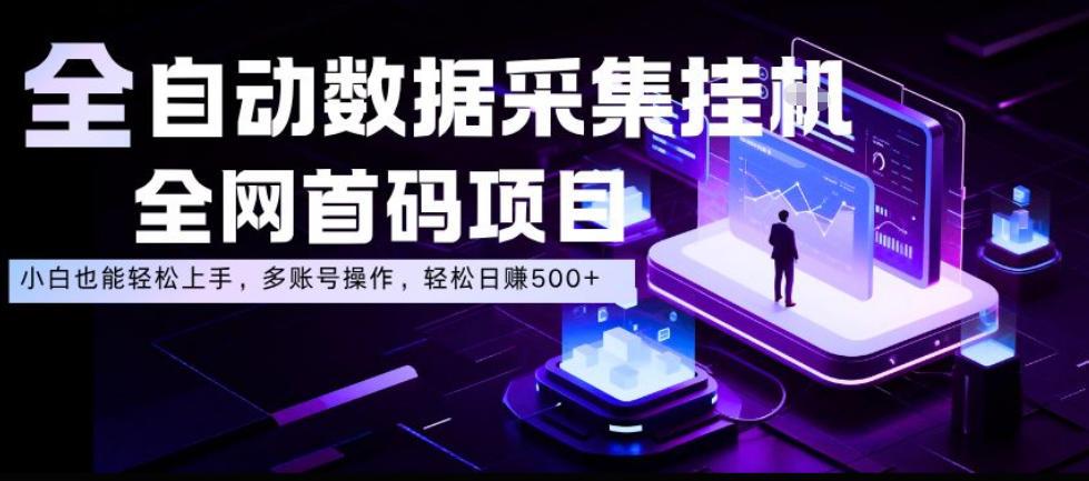 全自动数据采集挂G,全网首码项目,简单易操作,小白也能轻松上手,多账号操作,轻松日入500+【揭秘】