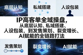 IP高客单全域操盘全链路教程 覆盖私域搭建人设包装发售全流程