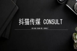 2024抖猫学院小红书聚光投放全流程实操教程详解